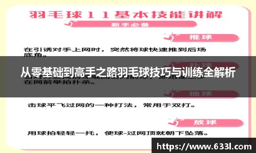 从零基础到高手之路羽毛球技巧与训练全解析